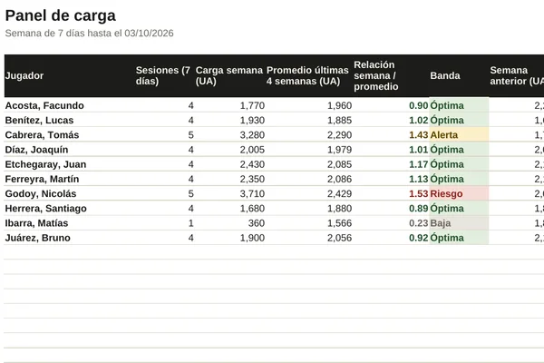 Vista previa: Planilla de control de carga